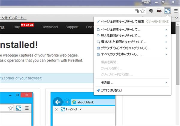 fireshot10