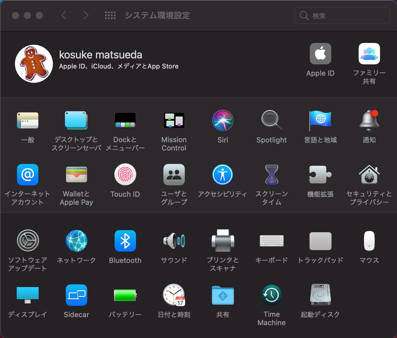 voice-input-fn1