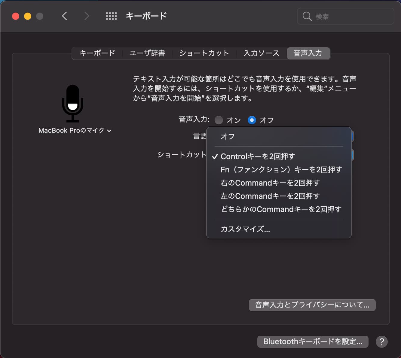 voice-input-fn4